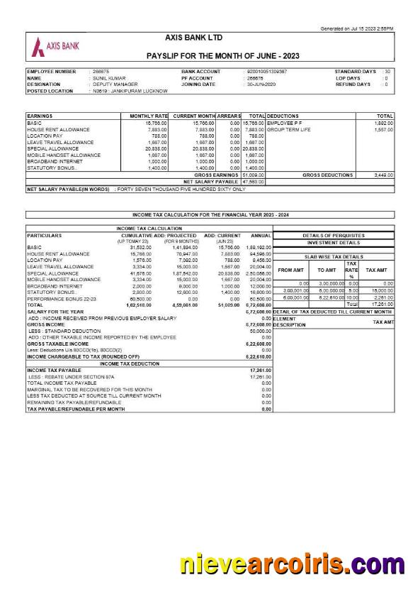 Axis Bank payslip
